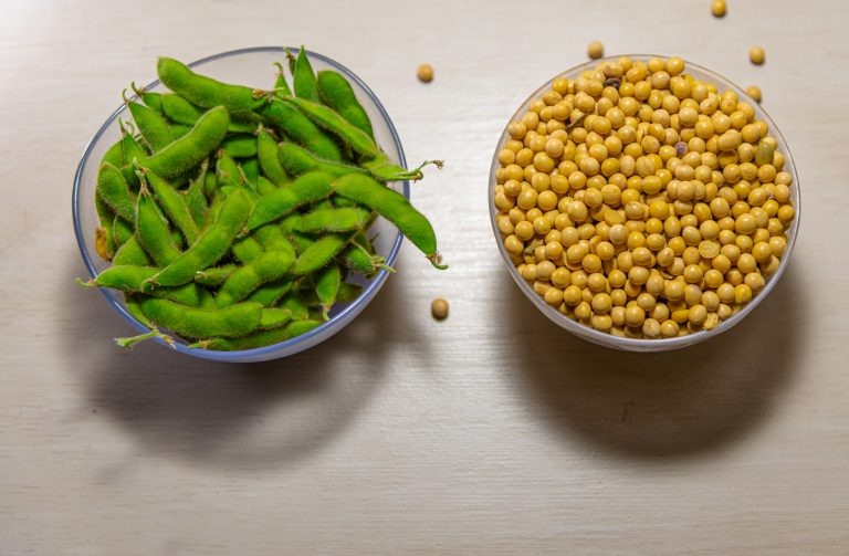The Soya Bean Japanese Food 101